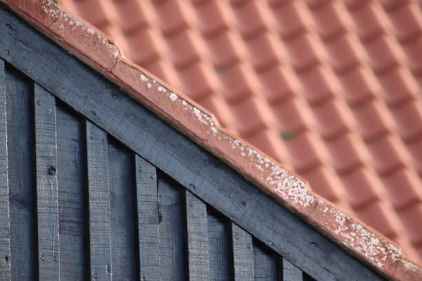 Telhado colonial com tratamento anti-cupim