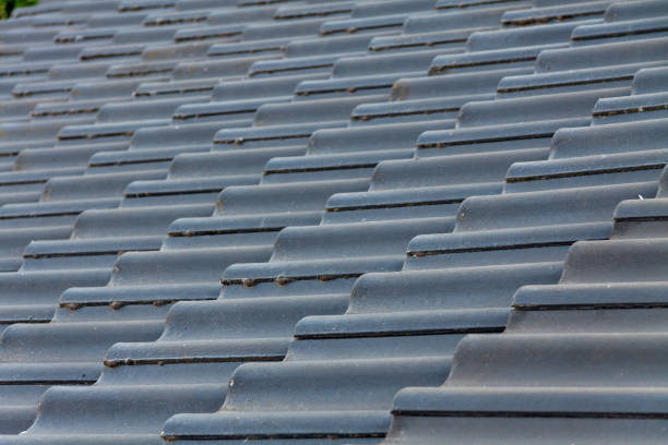 Telhas Coloniais Anti-Mofo